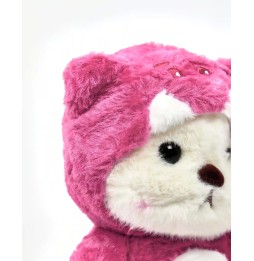 Plush Bear in Costume for Kids