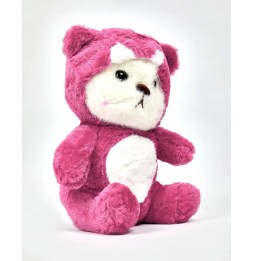 Plush Bear in Costume for Kids