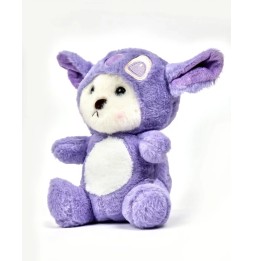 Plush Bear in Costume for Kids