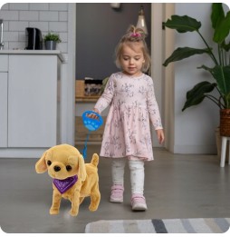 Interactive Puppy on a Leash