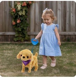 Interactive Puppy on a Leash