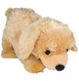 Interaktywny piesek Figo Labrador