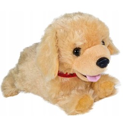 Interaktywny piesek Figo Labrador