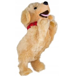 Interaktywny piesek Figo Labrador