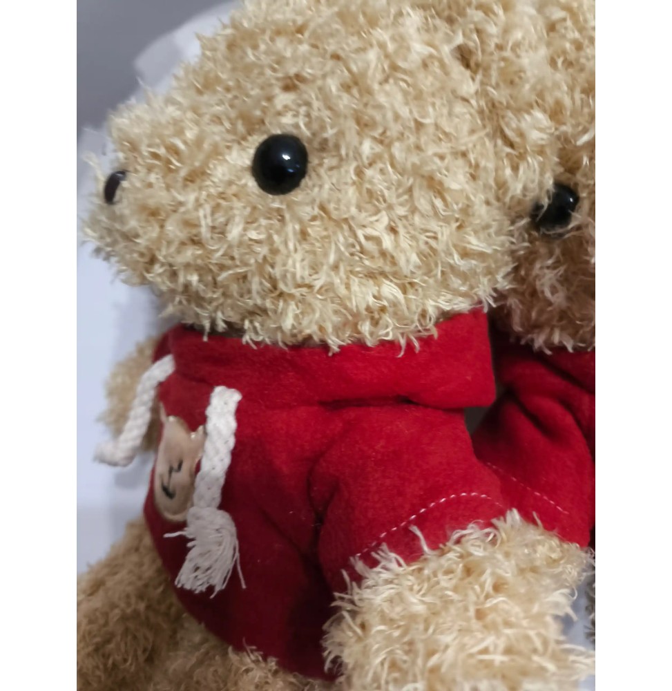 Soft Teddy Bear Plush Toy in Hoodie