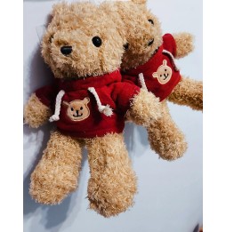 Soft Teddy Bear Plush Toy in Hoodie