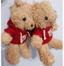 Soft Teddy Bear Plush Toy in Hoodie