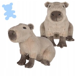 Plush Capybara 24 cm Cute Cuddly Toy