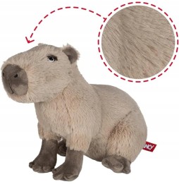 Plush Capybara 24 cm Cute Cuddly Toy