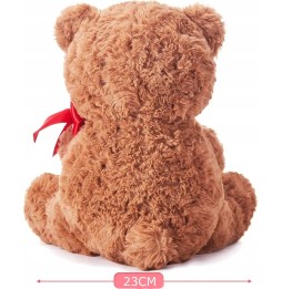 Teddy Bear with Flower for Valentine's Day