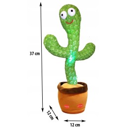 Cactus cântător și dansator 37 cm