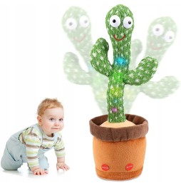 Cactus cântător și dansator 37 cm