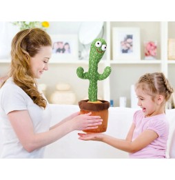 Cactus cântător și dansator 37 cm