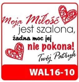 Miś z nadrukiem na prezent dla zakochanych