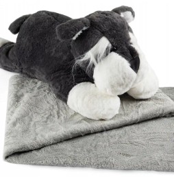 Plush Bear with Blanket 3 in 1 - Ideal for Kids