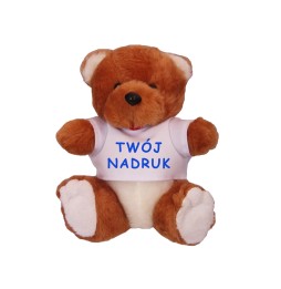 25 cm Printed Plush Bear