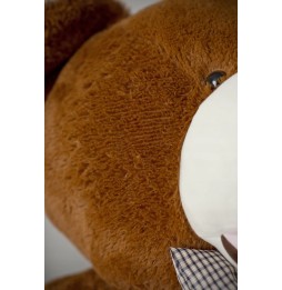 Large Plush Bear Amigo 90 cm