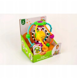 Dumel Sensory Ball for Kids