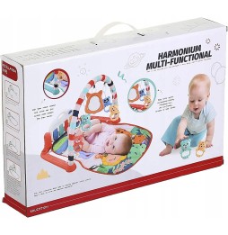 Harmonium Educational Play Mat