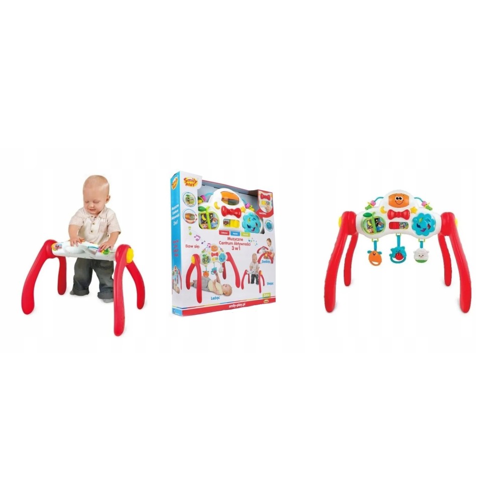 Musical Activity Center Smily Play