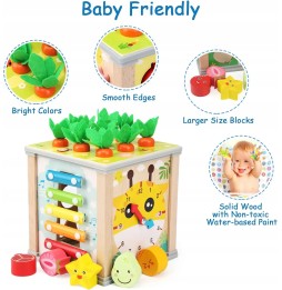 Wooden Activity Cube 6 in 1 for Kids