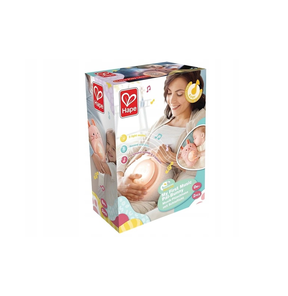 Hape Prietenul Roro E0114