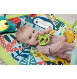 Fisher-Price Baby Play Mat