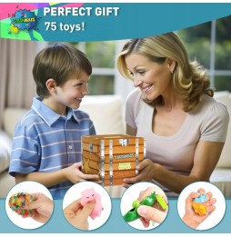 Fidget Sensory Toy Set for Kids