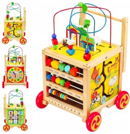 Wooden Push Toy for Kids