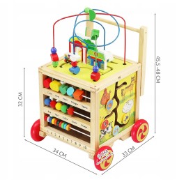 Wooden Push Toy for Kids