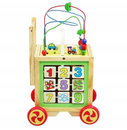 Wooden Push Toy for Kids