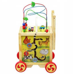 Wooden Push Toy for Kids