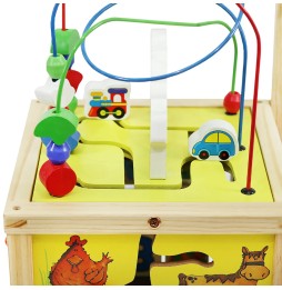 Wooden Push Toy for Kids