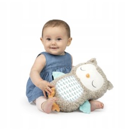 Ingenuity Snuggle Owl Nally Musical Toy