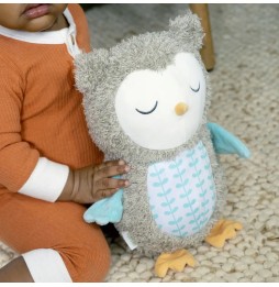 Ingenuity Snuggle Owl Nally Musical Toy