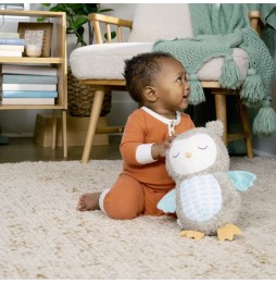 Ingenuity Snuggle Owl Nally Musical Toy