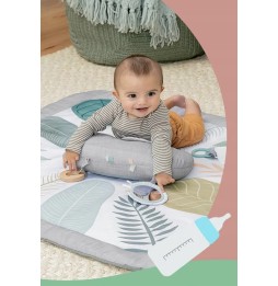 Ingenuity Educational Play Mat with Monthly Cards