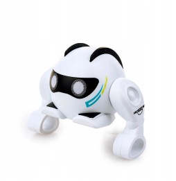 Dumel Roboluś Interactive Robot for Kids