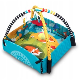 Interactive Play Mat for Infants