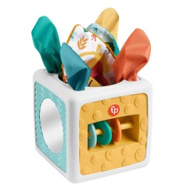 Fisher-Price Tissue Box Toy for Infants