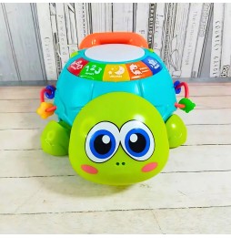 Interactive Educational Turtle with Music and LED