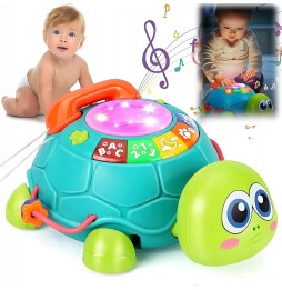 Interactive Educational Turtle with Music and LED