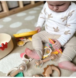 Infant Rattle and Teether Set