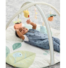 Skip Hop Mata edukacyjna Garden Oasis