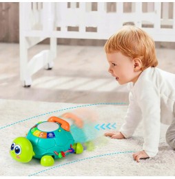 Interactive Educational Turtle with Music and LED