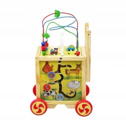 Wooden Push Walker with Educational Cube