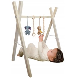 Educational Gym Rack for Babies