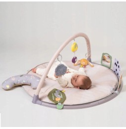 Taf Toys Savannah Activity Mat