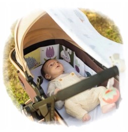 Taf Toys outdoor newborn set