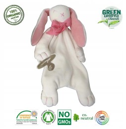 Organic Bunny Plush Toy